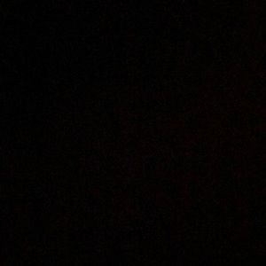 Meet your Posher, Bailey